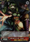 【SR仕様】隠密行動もお手の物? 清水絵空[WS_DJ/S97-085S]