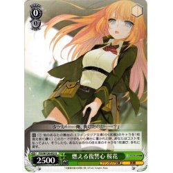 画像1: 燃える復讐心 桜花[WS_F35/W120-052U]