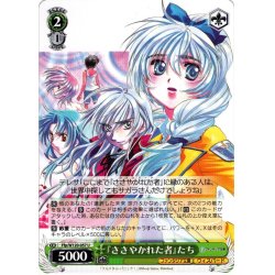 画像1: 『ささやかれた者』たち[WS_Ffp/W120-057U]