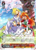魔を滅する者たち ガウリイ＆リナ[WS_Fsl/W120-087R]