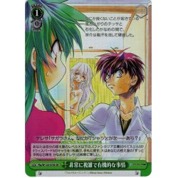 画像1: 【SR仕様(U)】非常に複雑で有機的な事情[WS_Ffp/W120-070S]