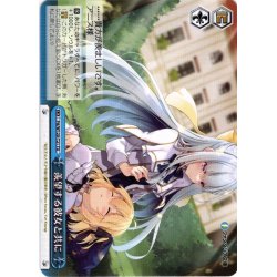画像1: 羨望する彼女と共に[WS_Ftt/W120-T21TD]