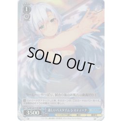 画像1: 【RRR仕様】姦しいバスタイム システィーナ[WS_Fra/W120-T17R]