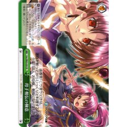 画像1: 母子相伝の極意[WS_Fmr/W65-039CR]