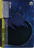 【RRR仕様】生じた故障[WS_FGO/S75-021RRR]