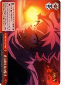 燃え盛る炎の魔法[WS_FT/S120-073CR]