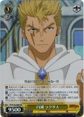 【SR仕様(R)】白滅 ラクサス[WS_FT/S120-008S]