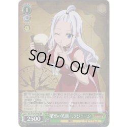 画像1: 【SR仕様(R)】秘密の笑顔 ミラジェーン[WS_FT/S120-030S]