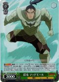 【SR仕様(C)】鎧竜 マッドモール[WS_FT/S120-039S]