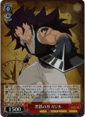 【SR仕様(R)】黒鉄の刃 ガジル[WS_FT/S120-056S]