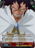 【SR仕様(C)】白滅 ガジル[WS_FT/S120-068S]