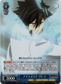 【SR仕様(U)】アイスメイク グレイ[WS_FT/S120-085S]
