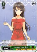 Anniversary 麻衣[WS_Gby/WS02-T18TD]