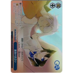 画像1: 【TDP仕様】運命の出会い [WS_GA10/S131-T20S]