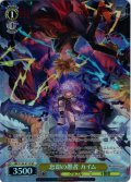 【SR星1】忘却の愚者 カイム[WS_GBF/S134-011S]