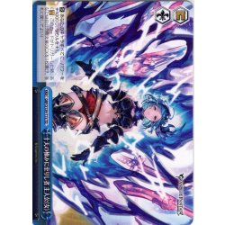 画像1: 十天の極みに至りし者 主人公(女) [WS_GBF/S134-T15TD]