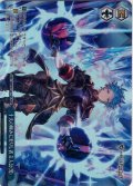 【TDP仕様】十天の極みに至りし者 主人公(男) [WS_GBF/S134-T14S]