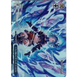 画像1: 【TDP仕様】十天の極みに至りし者 主人公(女) [WS_GBF/S134-T15S]