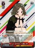 ぶつかり合って進む 智[WS_GCR/SE48-44N]