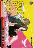 運命に賭けたい論理[WS_GCR/SE48-47N]