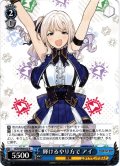 輝けるやり方で アイ[WS_GCR/SE48-62N]