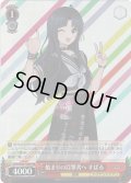 【RRR仕様】始まりの目撃者へ すばる[WS_GCR/SE48-T08R]