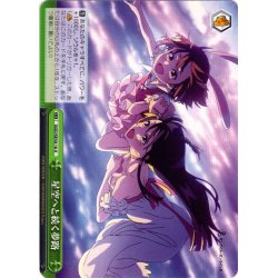 画像1: 星空へと続く夢路[WS_GGO/SE50-16U]