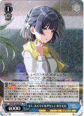 また、あんなに無理をして 秦谷美鈴[WS_GIM/W124-076R]