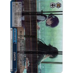 画像1: 【RRR仕様】さみだれ[WS_GIM/W124-100R]