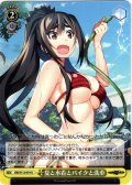 夏と水着とバイクと洗車[WS_GRI/S112-019U]