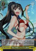 【SR仕様(U)】夏と水着とバイクと洗車[WS_GRI/S112-019S]