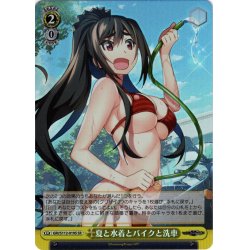 画像1: 【SR仕様(U)】夏と水着とバイクと洗車[WS_GRI/S112-019S]