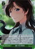 【SR仕様(U)】遠い日の約束[WS_GRI/S112-039S]