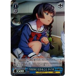 画像1: 【SR仕様(R)】今自分にできること タイガ[WS_GRI/S112-079S]