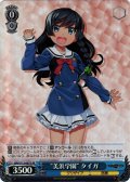 【SR仕様(C)】“美浜学園” タイガ[WS_GRI/S112-087S]
