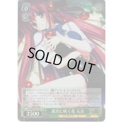 画像1: 【SR仕様】迷宮に咲く花 天音[WS_GRI/S84-037S]