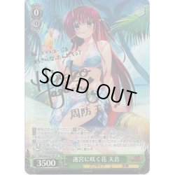 画像1: 【SP仕様】迷宮に咲く花 天音[WS_GRI/S84-037SP]