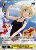 夏のひと時 ダージリン[WS_GUP/W141-007R]