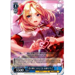 画像1: 君の瞳にコロしてる 水瀬 いちご[WS_HBR/W117-092R]