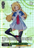 一緒にトレーニング! アキ・ローゼンタール[WS_HOL/WE44-P05PR]