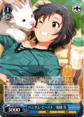 ハンサム・ビースト　菊地 真[WS_IAS/SE52-54N]