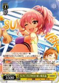SUN?FLOWER 城ヶ崎美嘉[WS_IMC/W115-025U]