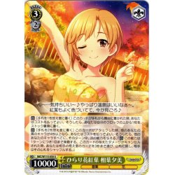 画像1: ひらり花紅葉 相葉夕美[WS_IMC/W115-030U]