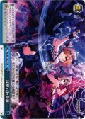 双翼の独奏歌[WS_IMC/W115-137CR]