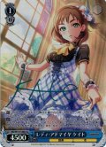 【Co仕様(C)】レディ・アドマイヤ ケイト[WS_IMC/W115-128Co]