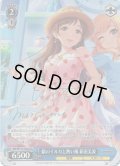 【Co仕様(C)】銀のイルカと熱い風 新田美波[WS_IMC/W115-132Co]