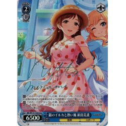 画像1: 【Co仕様(C)】銀のイルカと熱い風 新田美波[WS_IMC/W115-132Co]