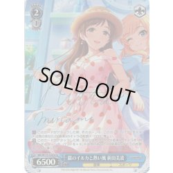 画像1: 【Co仕様(C)】銀のイルカと熱い風 新田美波[WS_IMC/W115-132Co]