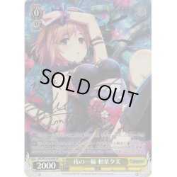 画像1: 【SP仕様(R)】夜の一輪 相葉夕美[WS_IMC/W115-010SP]
