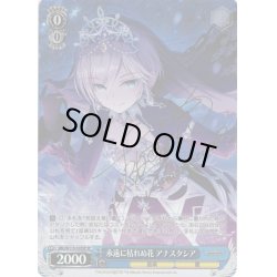画像1: 【SP仕様(R)】永遠に枯れぬ花 アナスタシア[WS_IMC/W115-103SP]